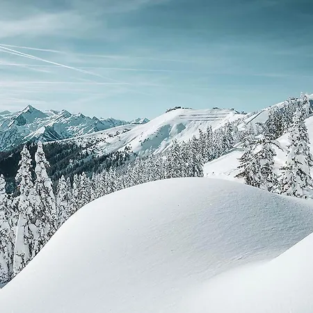 View! Birkmayer By We Rent Zell am See