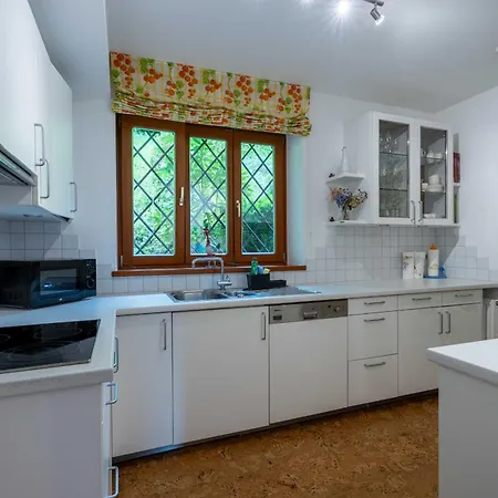 View! Birkmayer By We Rent * Zell am See