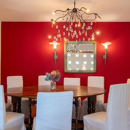 View! Birkmayer By We Rent * 젤암제