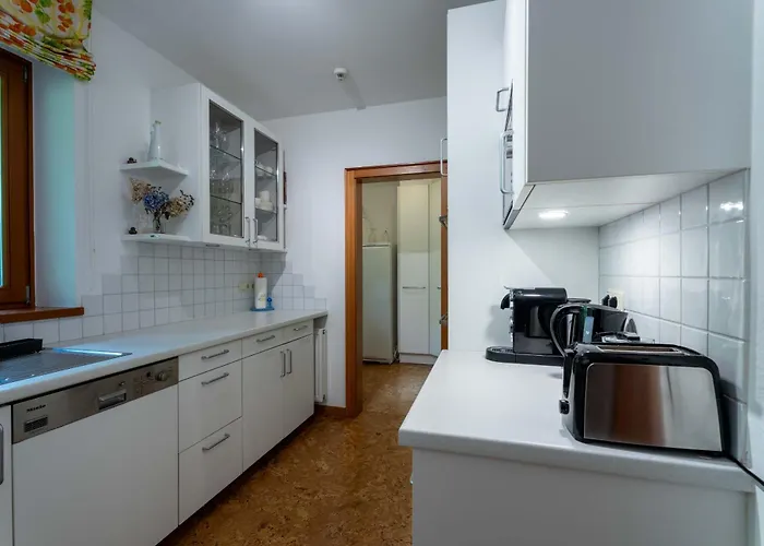 View! Birkmayer By We Rent * 젤암제